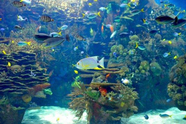 1645176827196360.jpg src=http___nimg.ws.126.net__url=http___dingyue.ws.126.net_2021_0322_c0b23f15j00qqcq0i001vc000gz00bbm.jpg&thumbnail=650x2147483647&quality=80&type=jpg&refer=http___nimg.ws.126.jpg